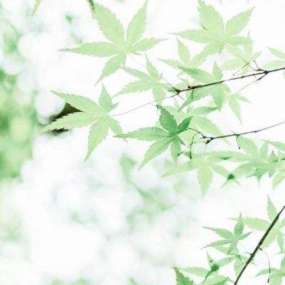 第二星球